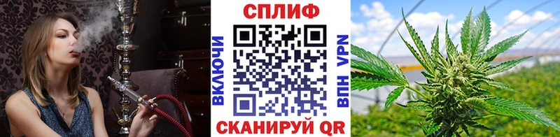 гидра tor Мелеуз Каннабис семена